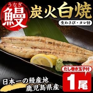 No.309 鹿児島県産うなぎの炭火白焼(1尾・生わさびとタレ付)と自慢の出汁巻き卵1本付! 国産 九州産 鰻 ウナギ うな重 うな丼 白焼き 卵焼き 出汁巻き おかず お土産 セット 冷凍【家むら】鹿