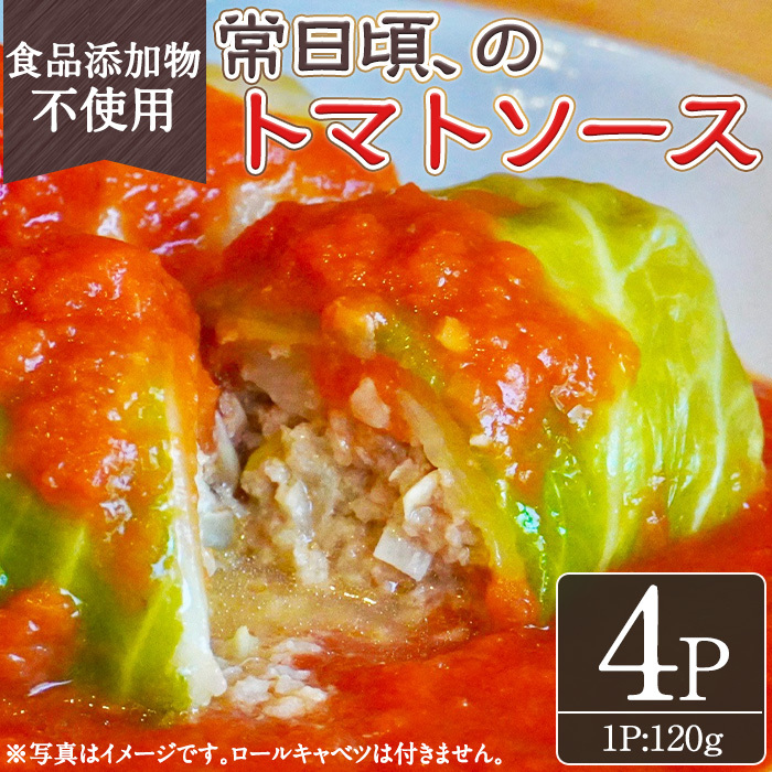 No.1314-B 素材にこだわったトマトソース(120g×4袋) トマトソース 惣菜 添加物不使用 簡単調理 湯煎 冷凍 数量限定【常日頃、】鹿児島県日置市10000肉その他 肉