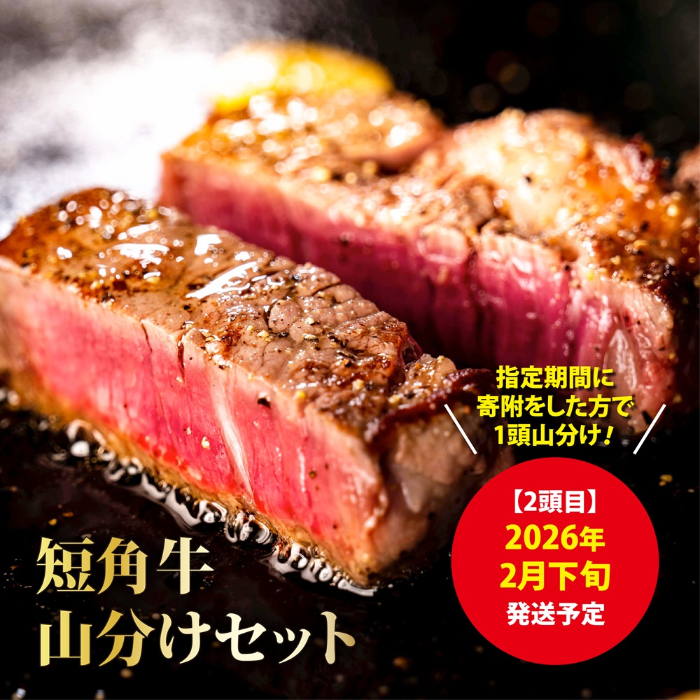 【山形村短角牛消費拡大応援企画品】山形村短角牛まるまる1頭山分けセット(2月お届け分)岩手県久慈市35000肉牛肉